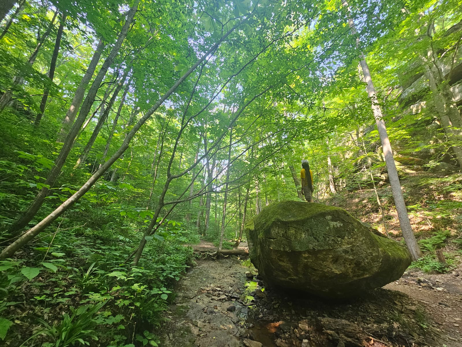 Ron Powell outdoors on a trail with hills behind him.